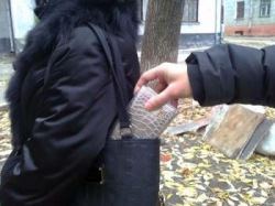 В Лисках на Центральном рынке у женщины вытащили из сумки кошелек с 24 тысячами рублей