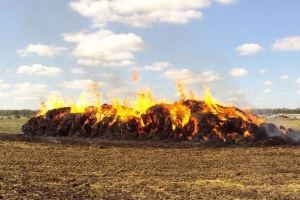 В Лискинском районе установлен подозреваемый в поджоге соломы