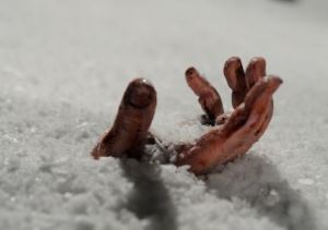 В Воронеже в лесополосе на Ломоносова нашли обезглавленное тело мужчины