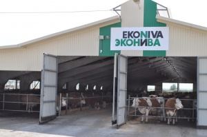 Делегация из Баварии побывала у Лискинского фермера Штефана Дюрра