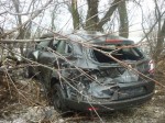 В Лискинском районе «Рено Меган» улетела в Кювет
