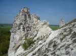 3 июня - экологический праздник «С днём рождения, Сурок!»