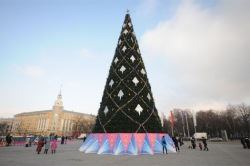 Воронежская елка заняла шестое место в рейтинге главных елей городов-миллионников