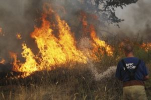 В Лискинском районе объявили о пятом классе горимости