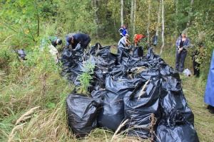 В городе Лиски открывается "уборочная"