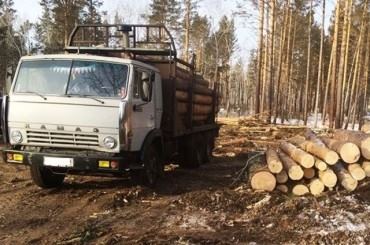 Лискинцы протестуют против вырубки леса